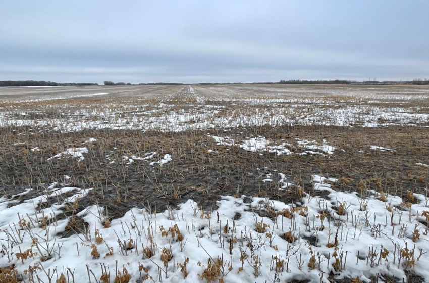 Rural Address, Corman Park Rm No. 344, Saskatchewan S7K 3J5, ,Farm,For Sale,Corman Park Farm/Development Land - 240 Acres,Rural Address,SK959365