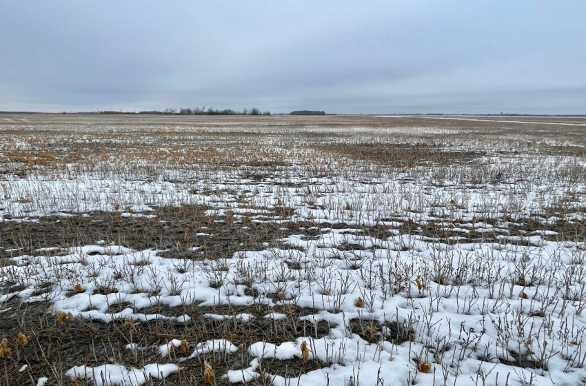 Rural Address, Corman Park Rm No. 344, Saskatchewan S7K 3J5, ,Farm,For Sale,Corman Park Farm/Development Land - 240 Acres,Rural Address,SK959365