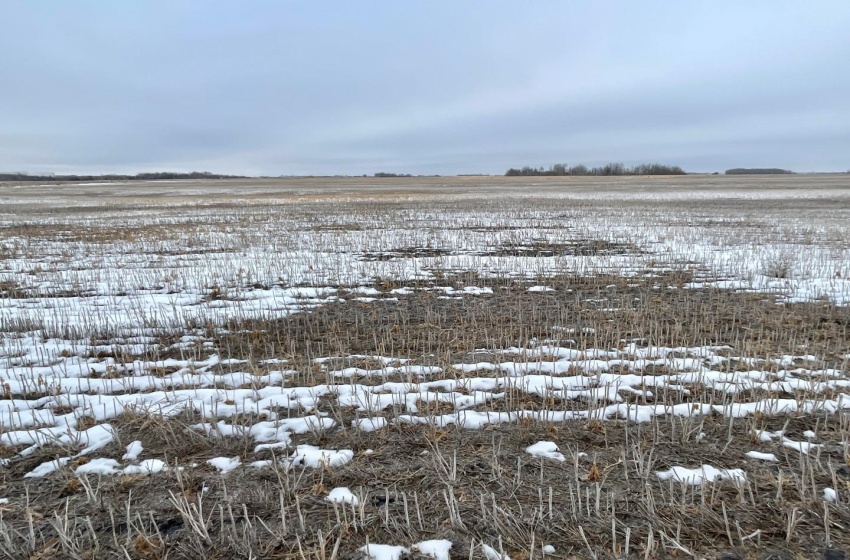 Rural Address, Corman Park Rm No. 344, Saskatchewan S7K 3J5, ,Farm,For Sale,Corman Park Farm/Development Land - 240 Acres,Rural Address,SK959365