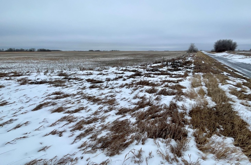 Rural Address, Corman Park Rm No. 344, Saskatchewan S7K 3J5, ,Farm,For Sale,Corman Park Farm/Development Land - 240 Acres,Rural Address,SK959365