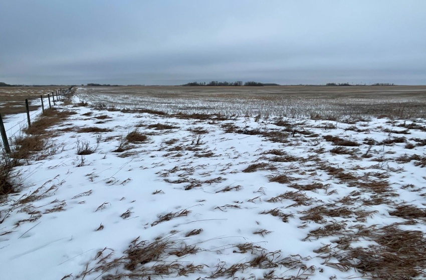 Rural Address, Corman Park Rm No. 344, Saskatchewan S7K 3J5, ,Farm,For Sale,Corman Park Farm/Development Land - 240 Acres,Rural Address,SK959365