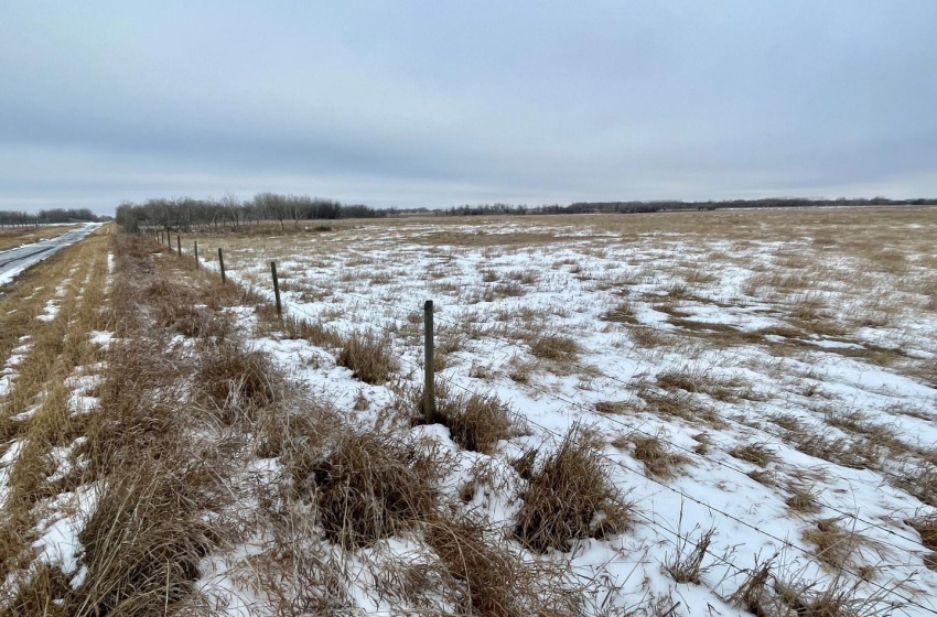 Rural Address, Corman Park Rm No. 344, Saskatchewan S7K 3J5, ,Farm,For Sale,Corman Park Farm/Development Land - 240 Acres,Rural Address,SK959365