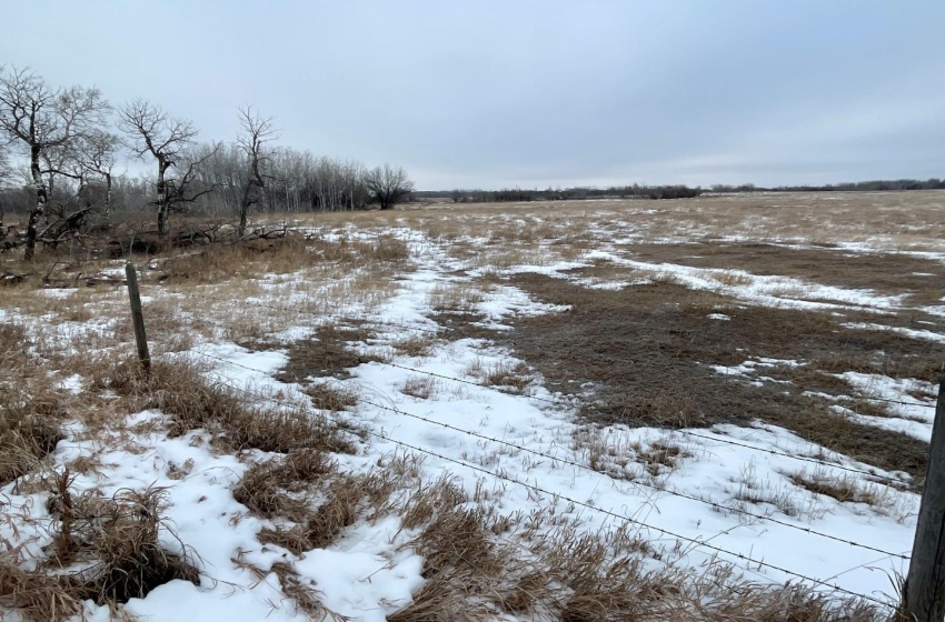 Rural Address, Corman Park Rm No. 344, Saskatchewan S7K 3J5, ,Farm,For Sale,Corman Park Farm/Development Land - 240 Acres,Rural Address,SK959365