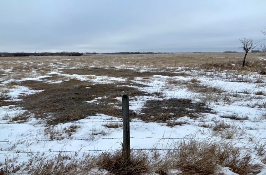 Rural Address, Corman Park Rm No. 344, Saskatchewan S7K 3J5, ,Farm,For Sale,Corman Park Farm/Development Land - 240 Acres,Rural Address,SK959365