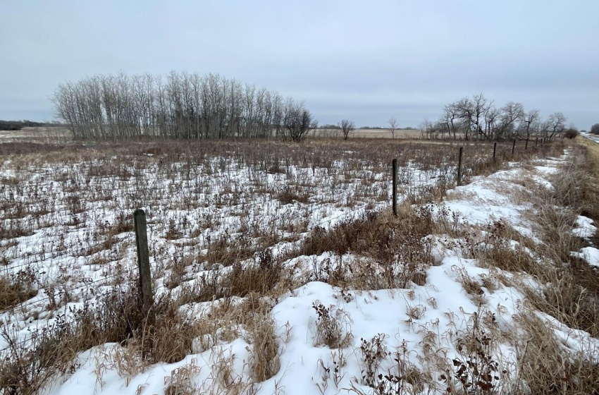 Rural Address, Corman Park Rm No. 344, Saskatchewan S7K 3J5, ,Farm,For Sale,Corman Park Farm/Development Land - 240 Acres,Rural Address,SK959365