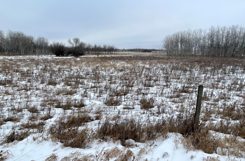 Rural Address, Corman Park Rm No. 344, Saskatchewan S7K 3J5, ,Farm,For Sale,Corman Park Farm/Development Land - 240 Acres,Rural Address,SK959365