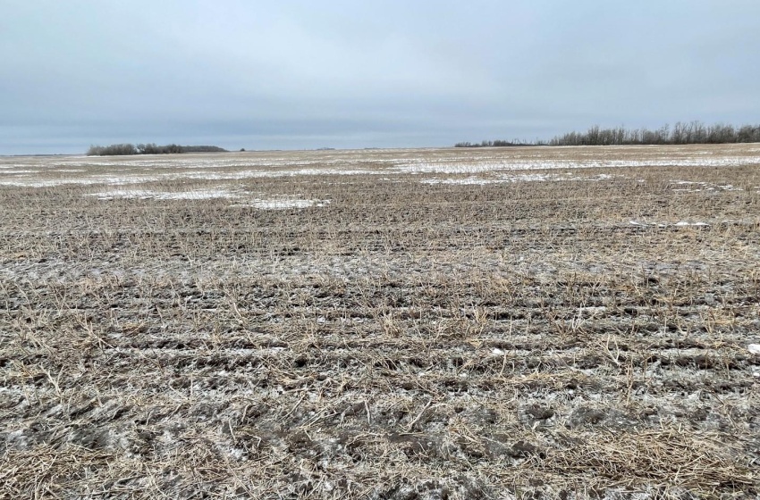 Rural Address, Corman Park Rm No. 344, Saskatchewan S7K 3J5, ,Farm,For Sale,Corman Park Farm/Development Land - 240 Acres,Rural Address,SK959365