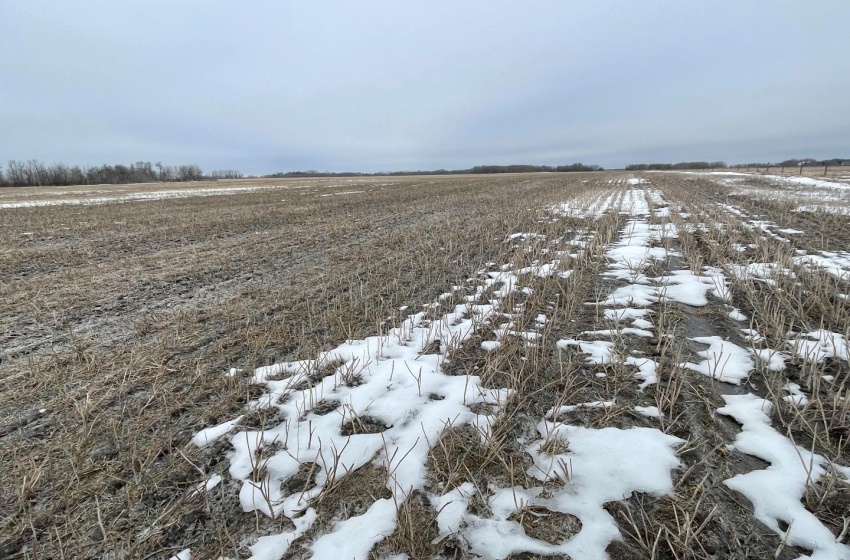 Rural Address, Corman Park Rm No. 344, Saskatchewan S7K 3J5, ,Farm,For Sale,Corman Park Farm/Development Land - 240 Acres,Rural Address,SK959365