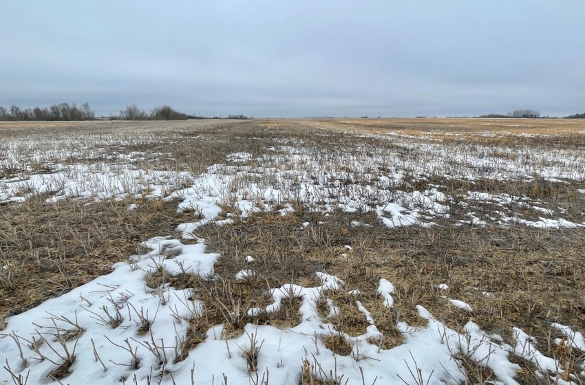 Rural Address, Corman Park Rm No. 344, Saskatchewan S7K 3J5, ,Farm,For Sale,Corman Park Farm/Development Land - 240 Acres,Rural Address,SK959365