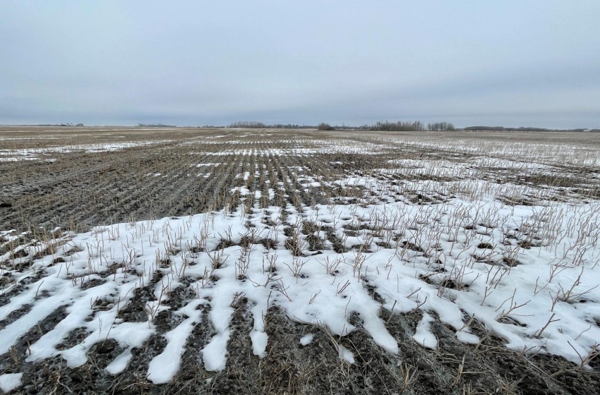 Rural Address, Corman Park Rm No. 344, Saskatchewan S7K 3J5, ,Farm,For Sale,Corman Park Farm/Development Land - 240 Acres,Rural Address,SK959365