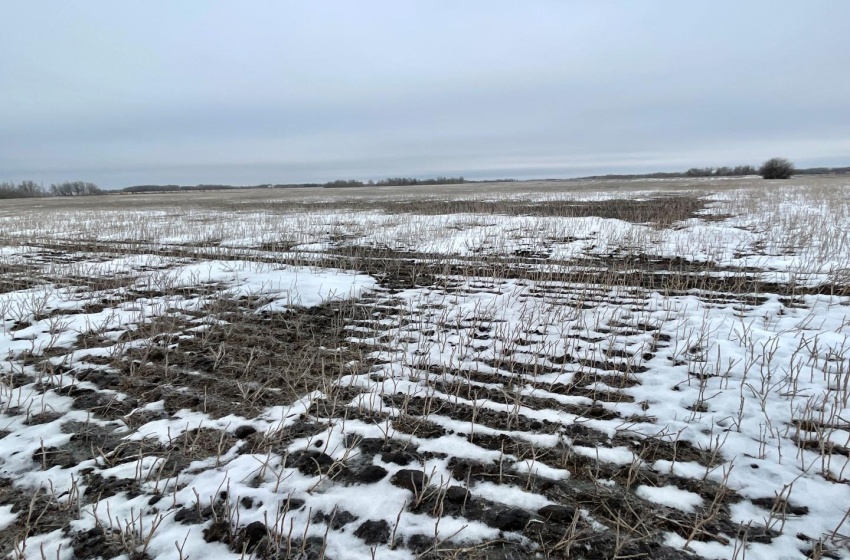 Rural Address, Corman Park Rm No. 344, Saskatchewan S7K 3J5, ,Farm,For Sale,Corman Park Farm/Development Land - 240 Acres,Rural Address,SK959365