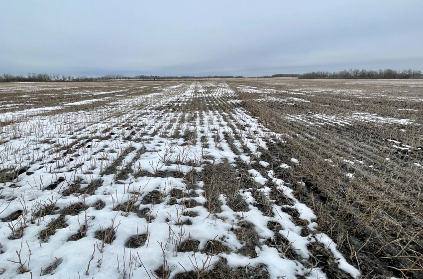 Rural Address, Corman Park Rm No. 344, Saskatchewan S7K 3J5, ,Farm,For Sale,Corman Park Farm/Development Land - 240 Acres,Rural Address,SK959365