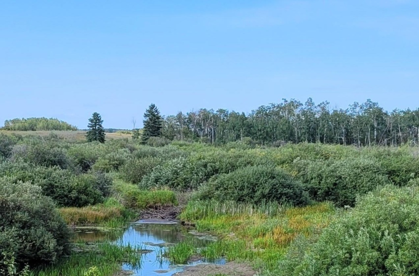 Rural Address, Preeceville Rm No. 334, Saskatchewan S0A 3B0, 4 Bedrooms Bedrooms, 16 Rooms Rooms,4 BathroomsBathrooms,Acreage,For Sale,Gardner Acreage,Rural Address,SK959629