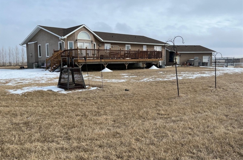 View of backyard