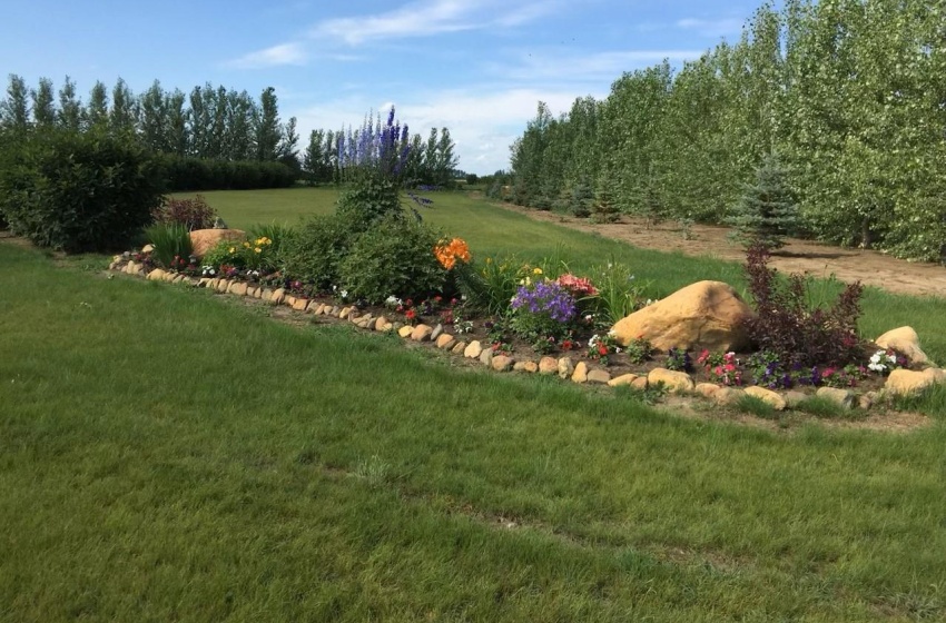 Back yard flower bed