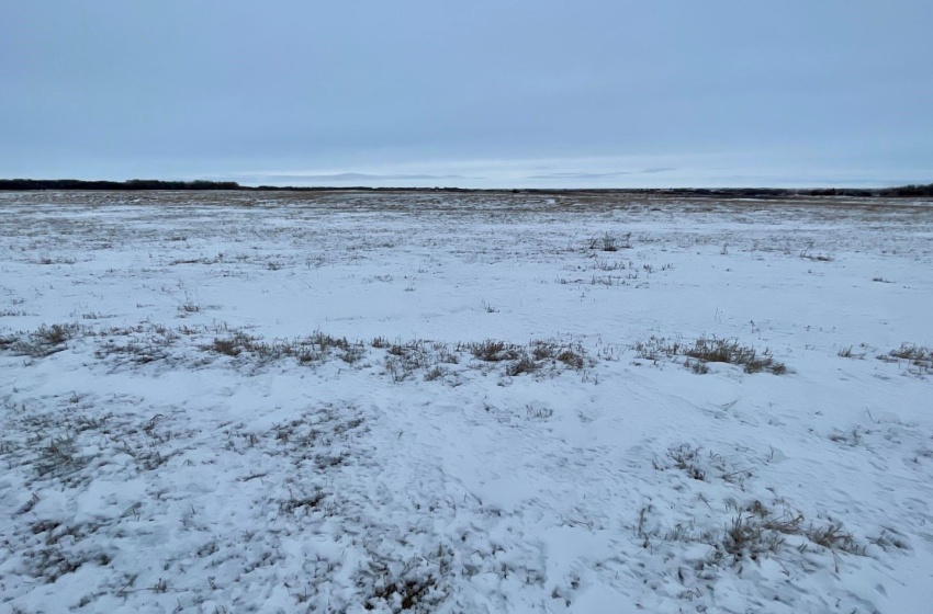 Rural Address, Biggar Rm No. 347, Saskatchewan S0K 0M0, ,Farm,For Sale,RM of Biggar Farmland (Kreller) - 120 Acres,Rural Address,SK959706