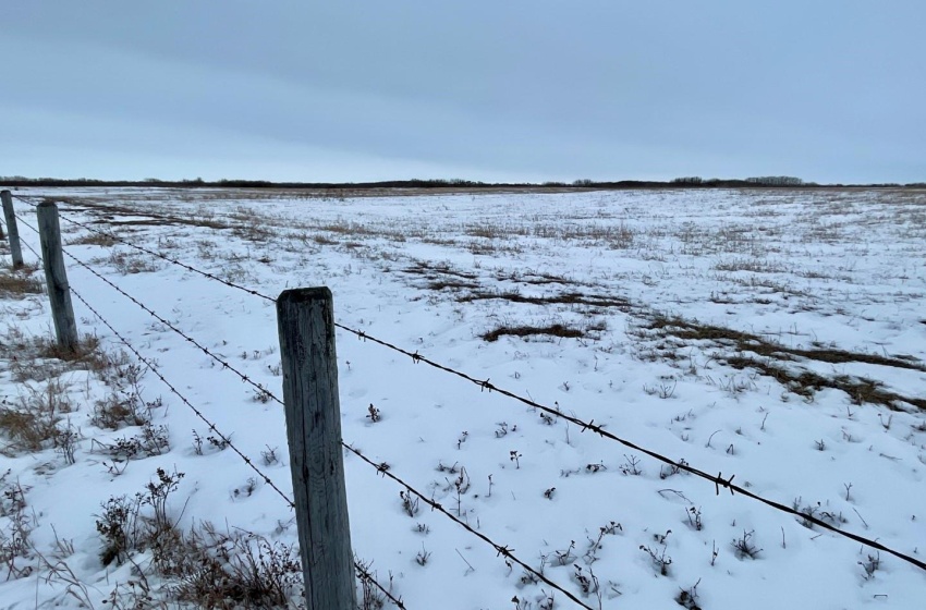 Rural Address, Biggar Rm No. 347, Saskatchewan S0K 0M0, ,Farm,For Sale,RM of Biggar Farmland (Kreller) - 120 Acres,Rural Address,SK959706