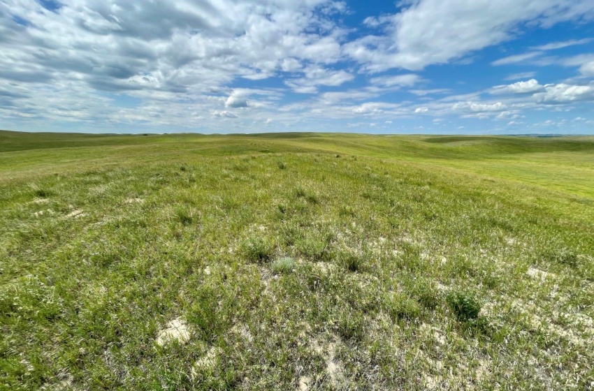 Rural Address, Biggar Rm No. 347, Saskatchewan S0K 0M0, ,Farm,For Sale,Biggar 315 acres Grain Farmland (Friesen),Rural Address,SK959770