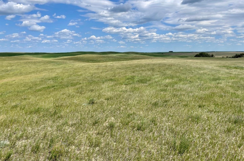 Rural Address, Biggar Rm No. 347, Saskatchewan S0K 0M0, ,Farm,For Sale,Biggar 315 acres Grain Farmland (Friesen),Rural Address,SK959770