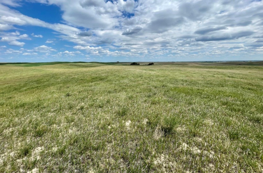 Rural Address, Biggar Rm No. 347, Saskatchewan S0K 0M0, ,Farm,For Sale,Biggar 315 acres Grain Farmland (Friesen),Rural Address,SK959770