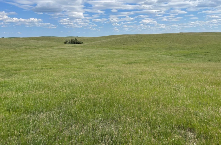 Rural Address, Biggar Rm No. 347, Saskatchewan S0K 0M0, ,Farm,For Sale,Biggar 315 acres Grain Farmland (Friesen),Rural Address,SK959770