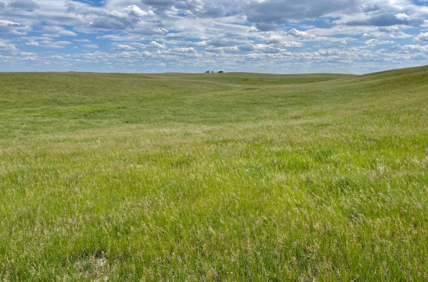 Rural Address, Biggar Rm No. 347, Saskatchewan S0K 0M0, ,Farm,For Sale,Biggar 315 acres Grain Farmland (Friesen),Rural Address,SK959770