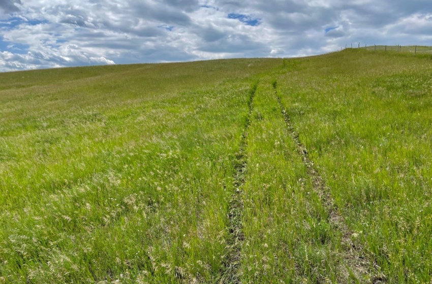 Rural Address, Biggar Rm No. 347, Saskatchewan S0K 0M0, ,Farm,For Sale,Biggar 315 acres Grain Farmland (Friesen),Rural Address,SK959770