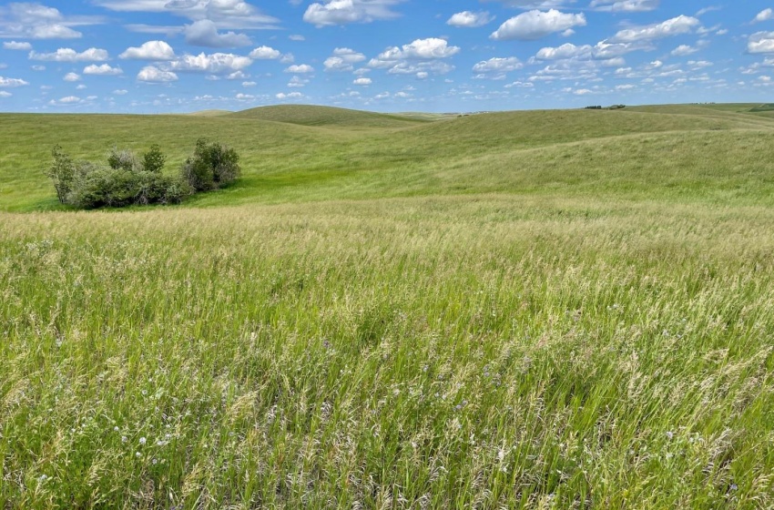 Rural Address, Biggar Rm No. 347, Saskatchewan S0K 0M0, ,Farm,For Sale,Biggar 315 acres Grain Farmland (Friesen),Rural Address,SK959770