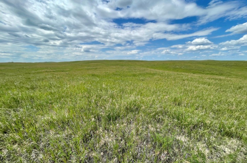 Rural Address, Biggar Rm No. 347, Saskatchewan S0K 0M0, ,Farm,For Sale,Biggar 315 acres Grain Farmland (Friesen),Rural Address,SK959770