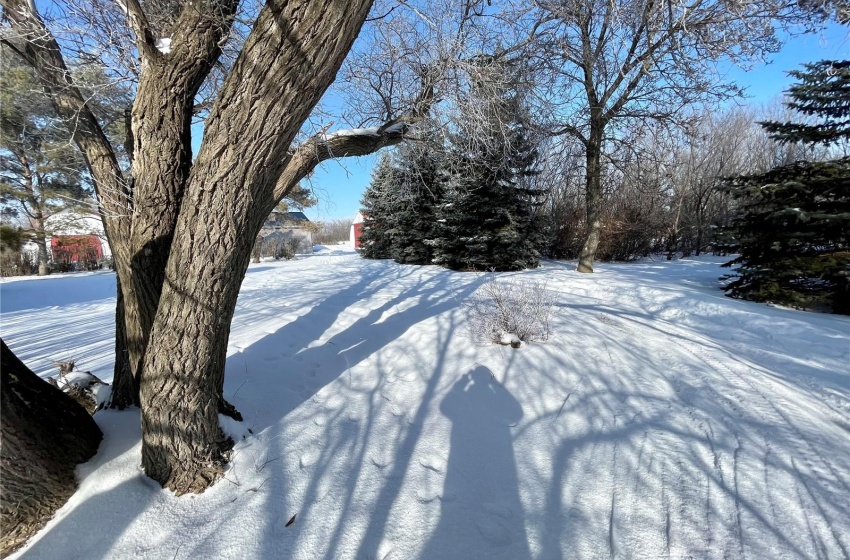 View of yard layered in snow