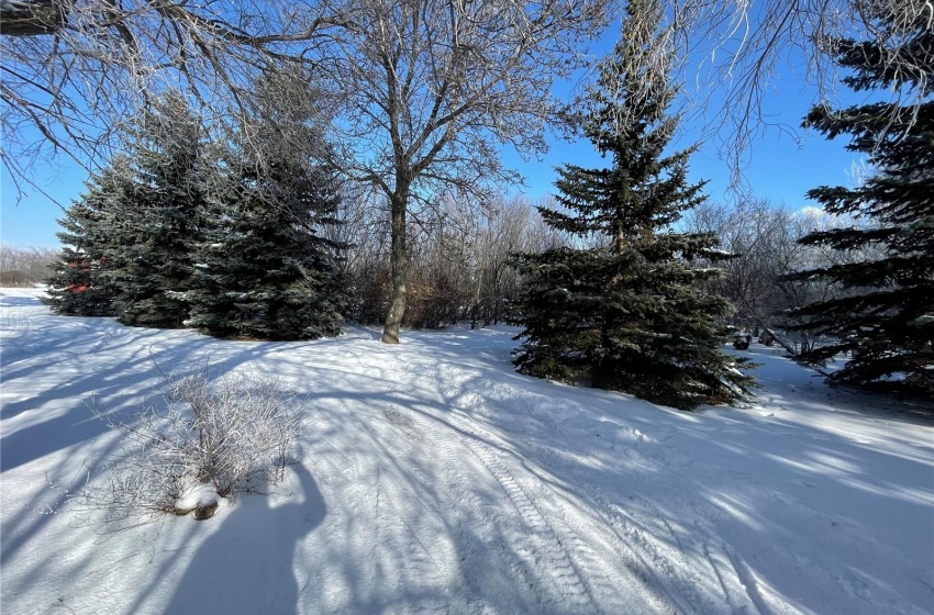 View of yard covered in snow