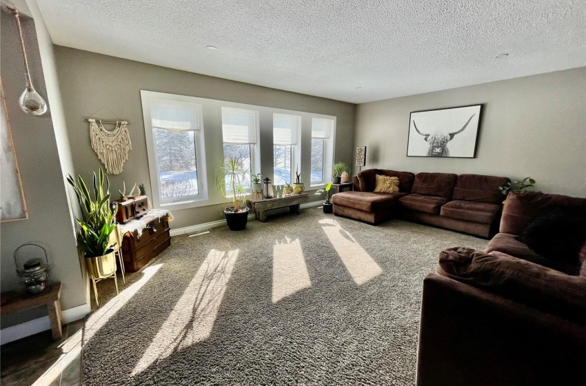 Carpeted living room with a textured ceiling