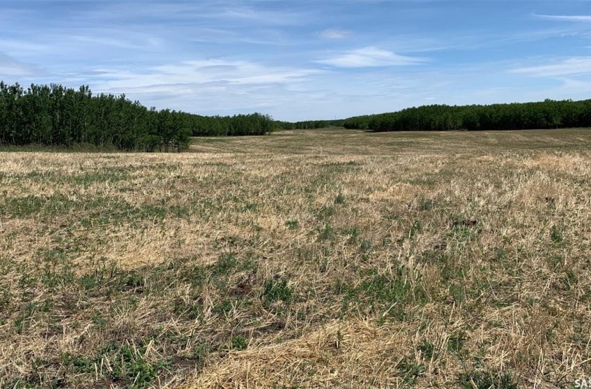 Rural Address, Glenside Rm No. 377, Saskatchewan S0K 0M0, ,Farm,For Sale,RM of Glenside Farmland - 158 Acres (Charlton),Rural Address,SK959881