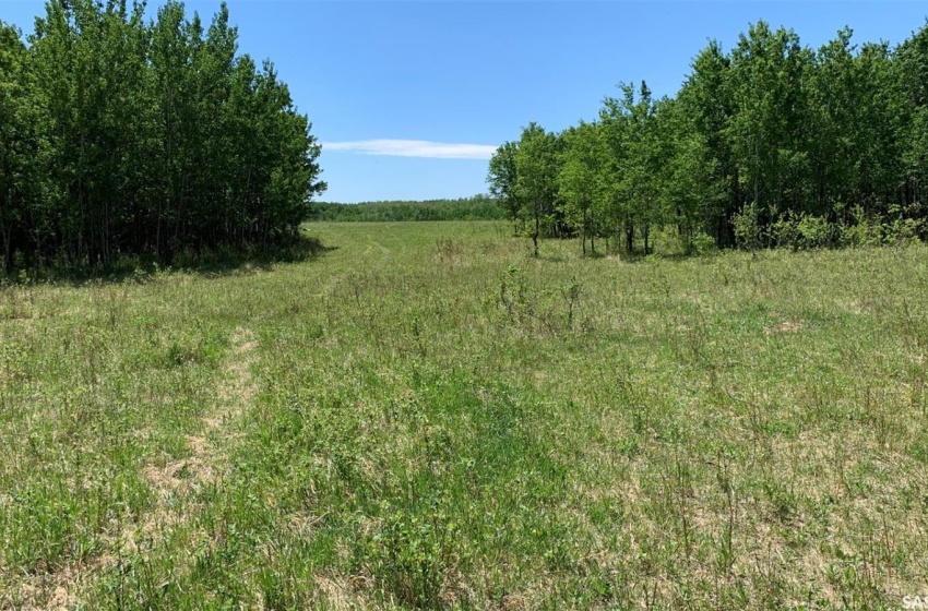 Rural Address, Glenside Rm No. 377, Saskatchewan S0K 0M0, ,Farm,For Sale,RM of Glenside Farmland - 158 Acres (Charlton),Rural Address,SK959881