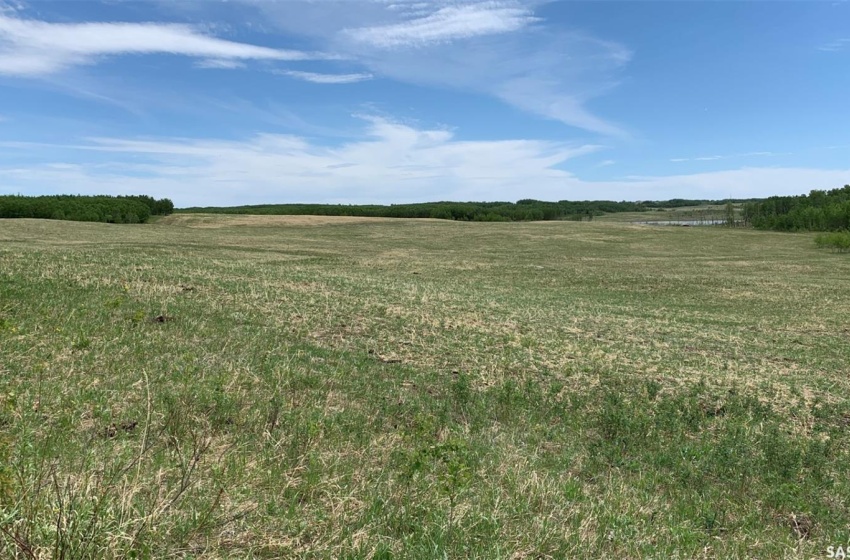 Rural Address, Glenside Rm No. 377, Saskatchewan S0K 0M0, ,Farm,For Sale,RM of Glenside Farmland - 158 Acres (Charlton),Rural Address,SK959881