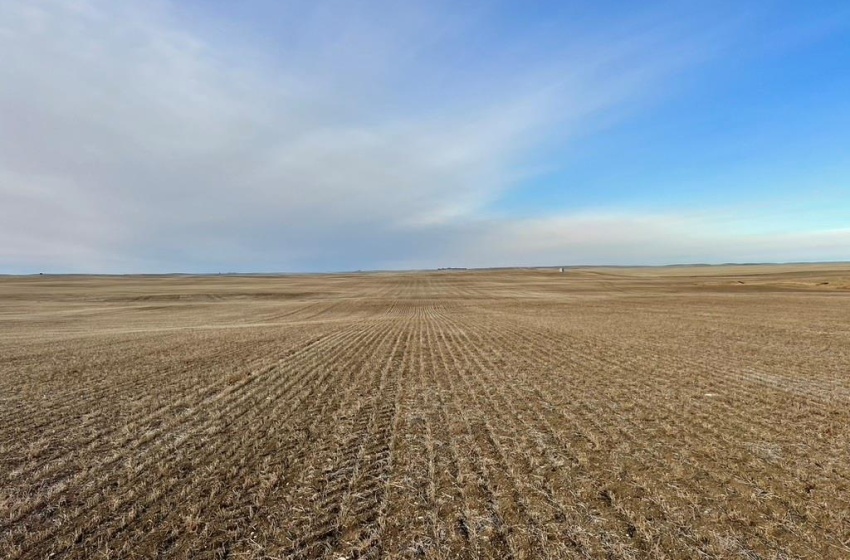 Rural Address, Chesterfield Rm No. 261, Saskatchewan S0L 0A0, ,Farm,For Sale,Alsask 967 acres Grain Farmland,Rural Address,SK959978