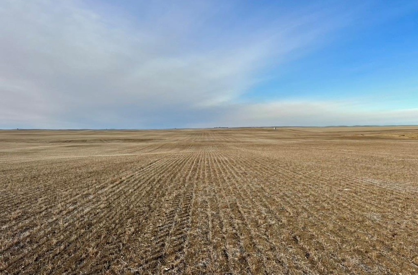 Rural Address, Chesterfield Rm No. 261, Saskatchewan S0L 0A0, ,Farm,For Sale,Alsask 967 acres Grain Farmland,Rural Address,SK959978