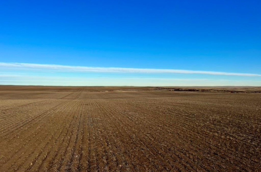 Rural Address, Chesterfield Rm No. 261, Saskatchewan S0L 0A0, ,Farm,For Sale,Alsask 967 acres Grain Farmland,Rural Address,SK959978