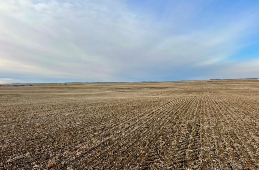 Rural Address, Chesterfield Rm No. 261, Saskatchewan S0L 0A0, ,Farm,For Sale,Alsask 967 acres Grain Farmland,Rural Address,SK959978