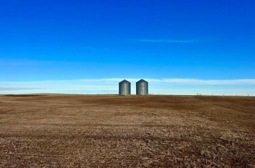 Rural Address, Chesterfield Rm No. 261, Saskatchewan S0L 0A0, ,Farm,For Sale,Alsask 967 acres Grain Farmland,Rural Address,SK959978