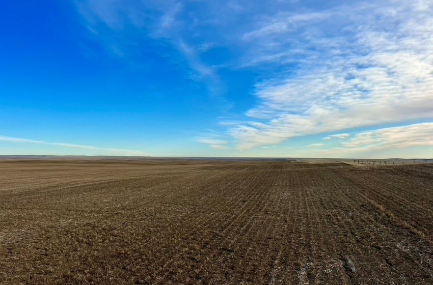 Rural Address, Chesterfield Rm No. 261, Saskatchewan S0L 0A0, ,Farm,For Sale,Alsask 967 acres Grain Farmland,Rural Address,SK959978