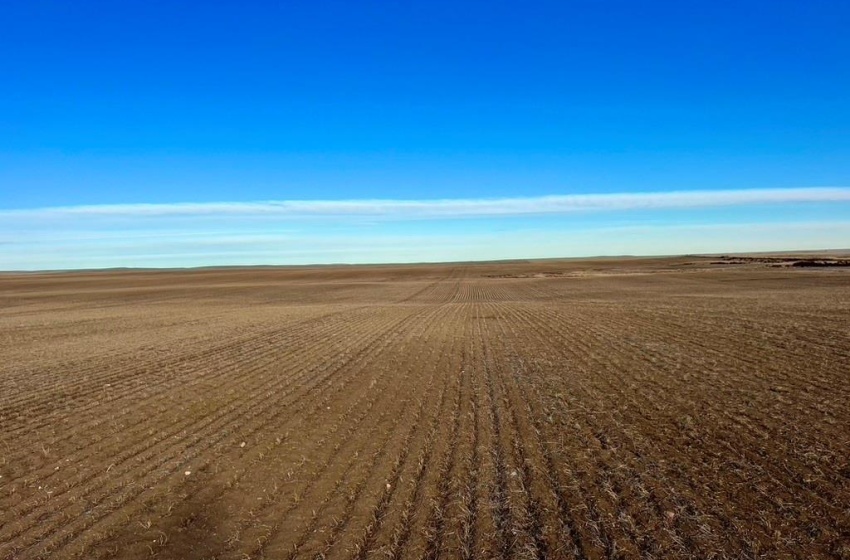 Rural Address, Chesterfield Rm No. 261, Saskatchewan S0L 0A0, ,Farm,For Sale,Alsask 967 acres Grain Farmland,Rural Address,SK959978