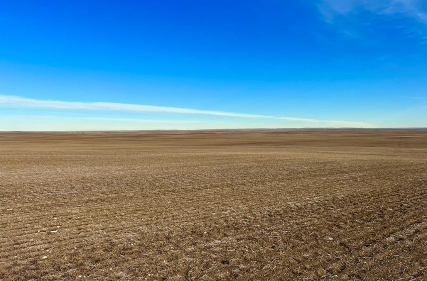 Rural Address, Chesterfield Rm No. 261, Saskatchewan S0L 0A0, ,Farm,For Sale,Alsask 967 acres Grain Farmland,Rural Address,SK959978