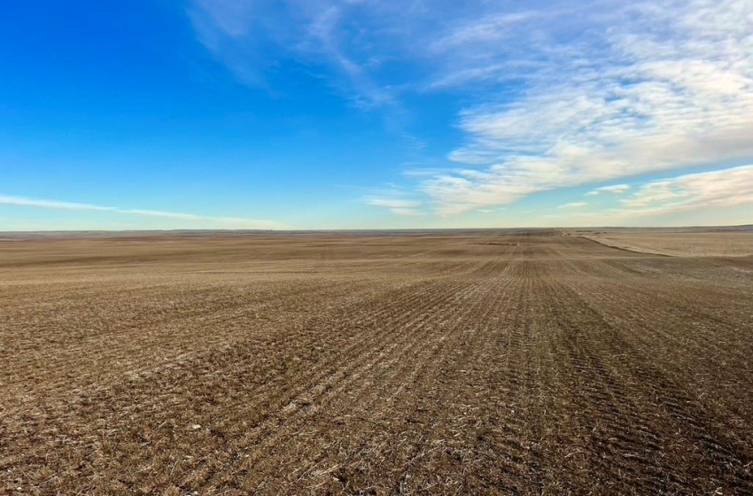 Rural Address, Chesterfield Rm No. 261, Saskatchewan S0L 0A0, ,Farm,For Sale,Alsask 967 acres Grain Farmland,Rural Address,SK959978