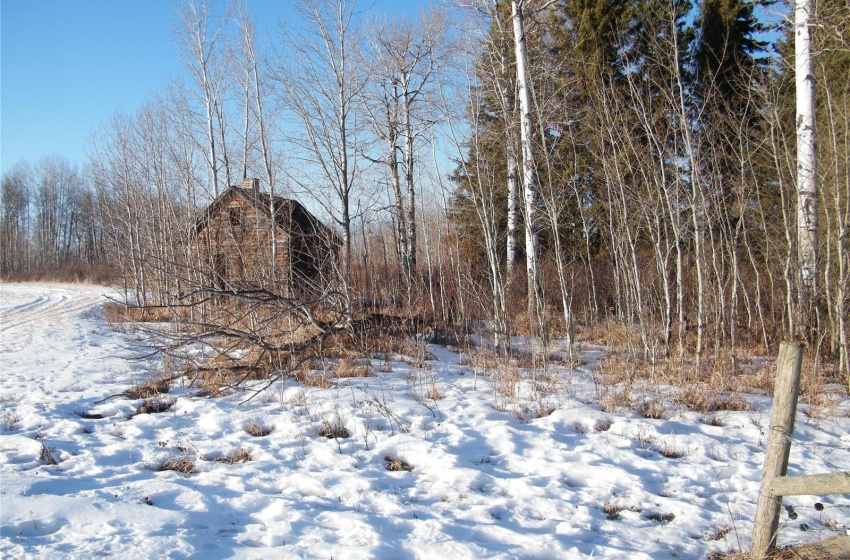 Rural Address, Bjorkdale Rm No. 426, Saskatchewan S0E 0E0, ,Farm,For Sale,Bjorkdale RM Rec Quarter,Rural Address,SK959807