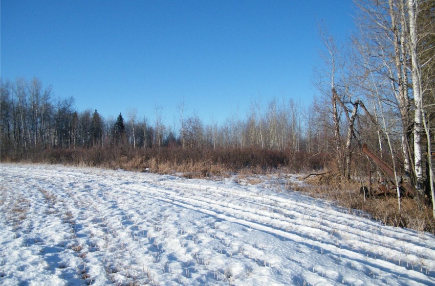 Rural Address, Bjorkdale Rm No. 426, Saskatchewan S0E 0E0, ,Farm,For Sale,Bjorkdale RM Rec Quarter,Rural Address,SK959807