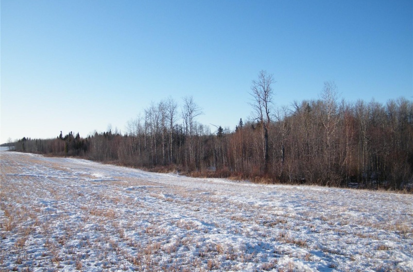 Rural Address, Bjorkdale Rm No. 426, Saskatchewan S0E 0E0, ,Farm,For Sale,Bjorkdale RM Rec Quarter,Rural Address,SK959807