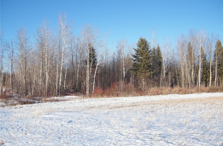 Rural Address, Bjorkdale Rm No. 426, Saskatchewan S0E 0E0, ,Farm,For Sale,Bjorkdale RM Rec Quarter,Rural Address,SK959807