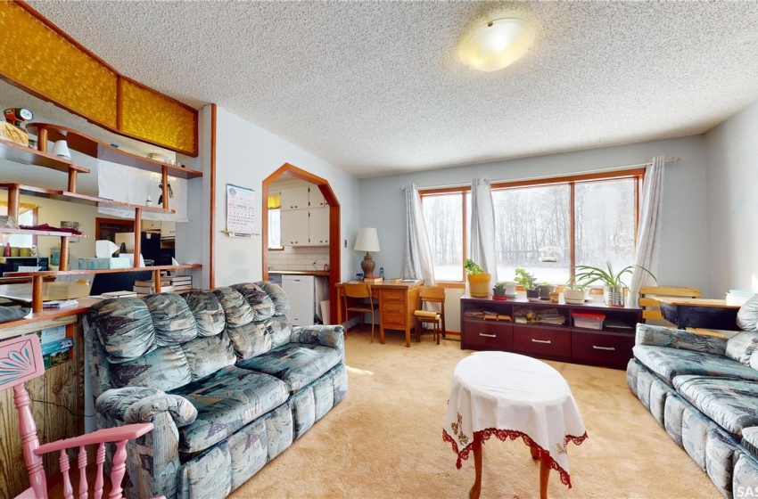 Carpeted living room featuring a textured ceiling