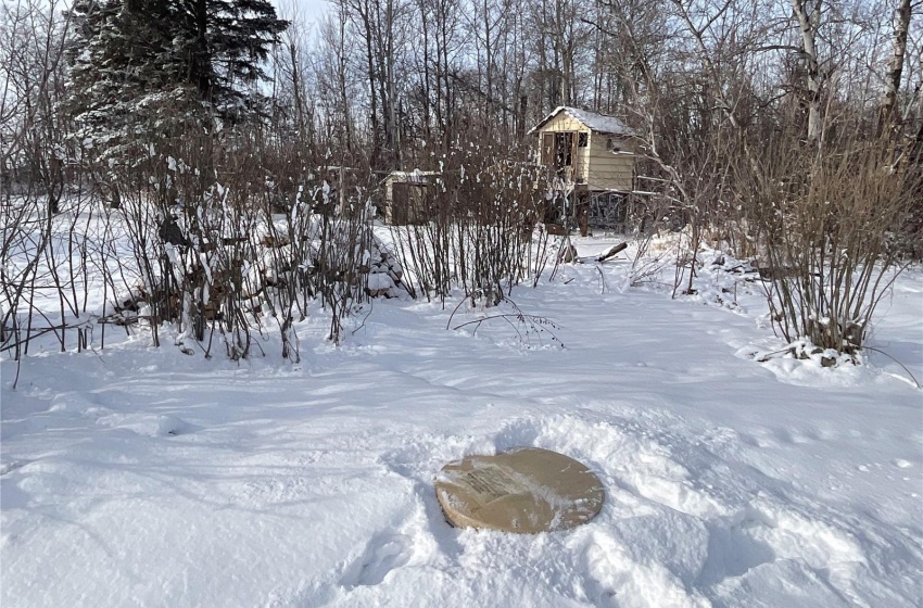 View of snowy yard